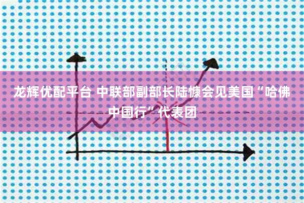 龙辉优配平台 中联部副部长陆慷会见美国“哈佛中国行”代表团